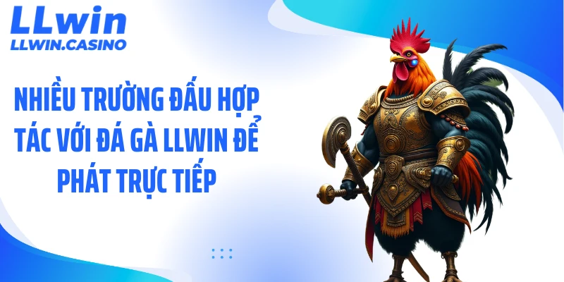 Nhiều trường đấu hợp tác với đá gà LLWIN để phát trực tiếp